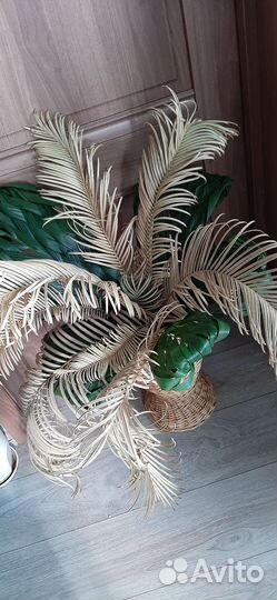 Декор (ветки цикаса высушенные )