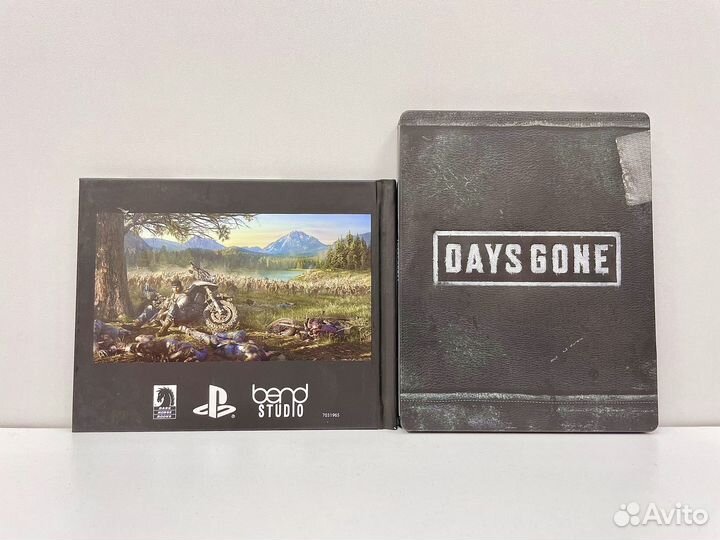 Days Gone Special Edition PS4