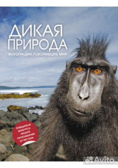 Волкодав. Звездный меч М.Семёнова Книги Дайджест