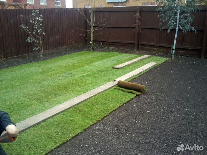 Рулонный газон - производство,доставка,укладка