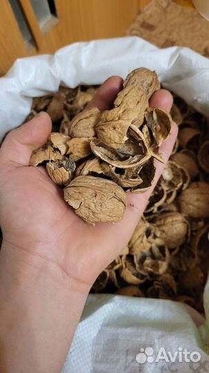 Скорлупа грецкого ореха