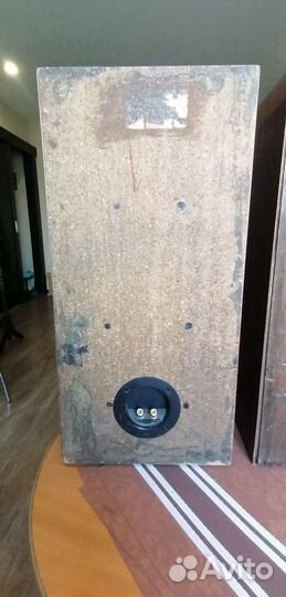 Акустика Вега 50ас-106