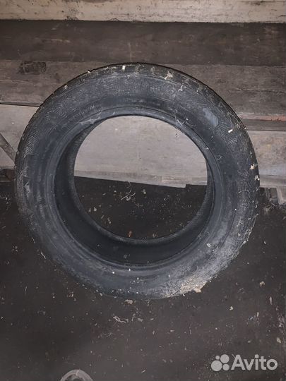 Gislaved Nord Frost 5 95/55 R16