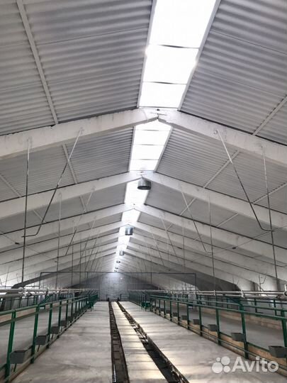 Оборудование для молочного животноводства по РФ