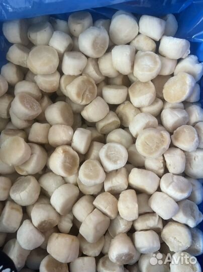 Гребешок филе Курильский