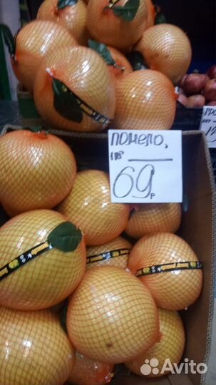 Памело фрукт