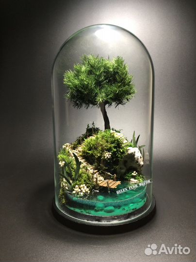 Моссариум - флорариум