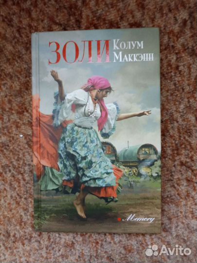 Книга «Золи»