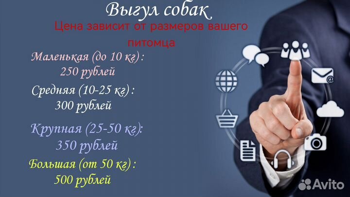 Выгул собак