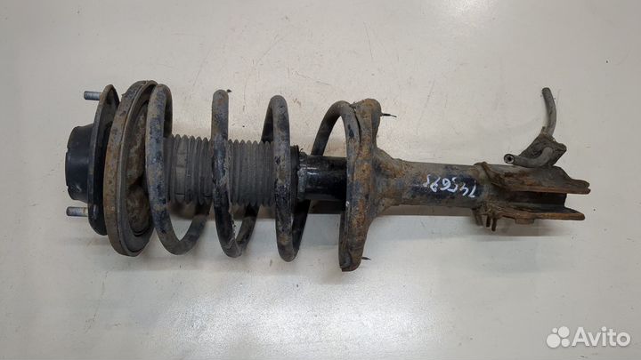 Амортизатор подвески Hyundai Trajet, 2004