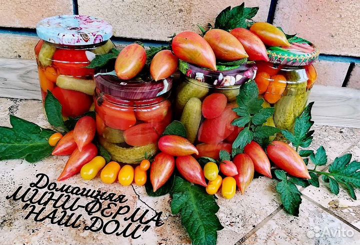 Домашние мини помидорки/карликовые огурчики(2023г)