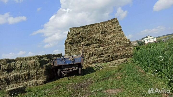 Сено в тюках