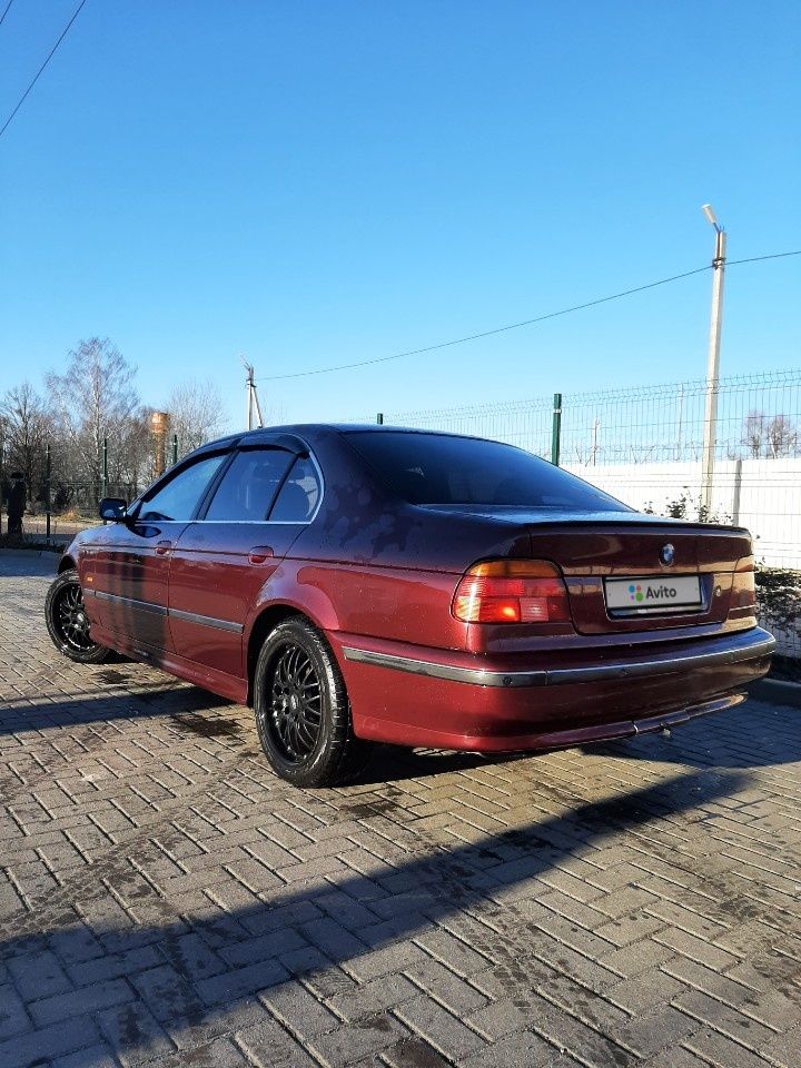 BMW 5 серия: фото владельца