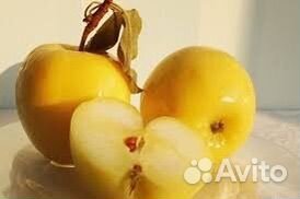 Мочёные Яблочки, солёные огурцы и капустка