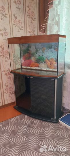 Аквариум с тумбой бу