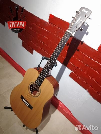 Гитара акустическая ель Cort earth Bevel Cut OP