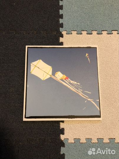 Фото с воздушными змеями на пвх