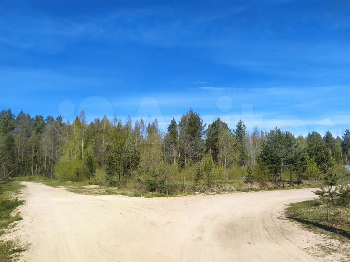 Участок 16 сот. (СНТ, ДНП)