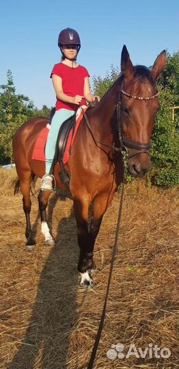 Конные прогулки