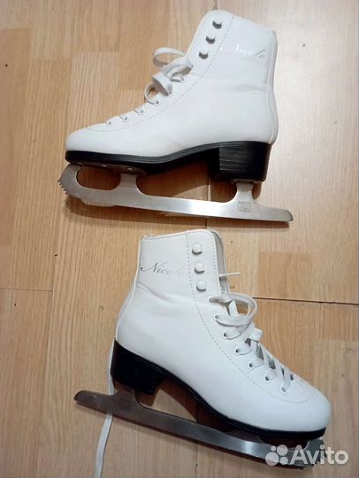 Коньки Nordway Nicole