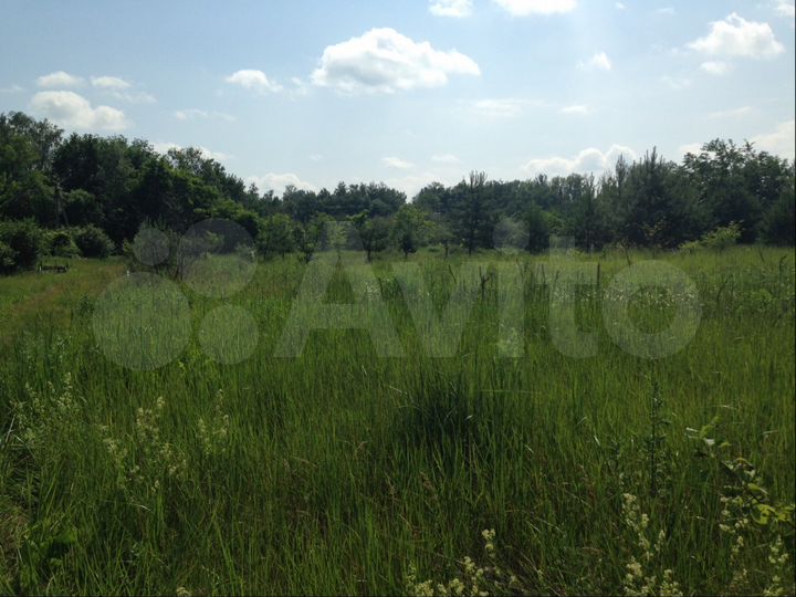 Участок 8 сот. (СНТ, ДНП)