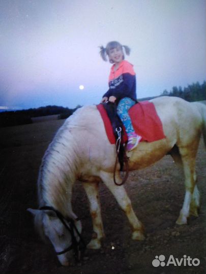 Катание на лошадях