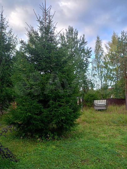 Участок 8 сот. (СНТ, ДНП)