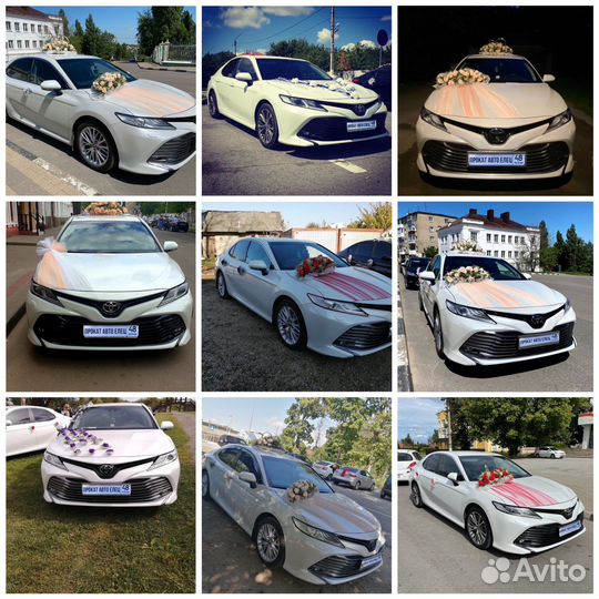Прокат авто, украшений и микроавтобусов на свадьбы