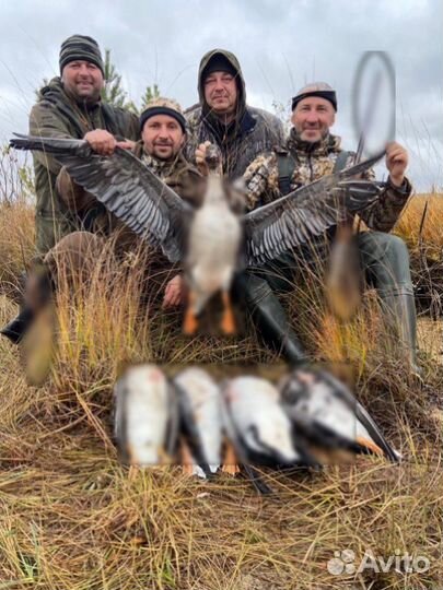 Охота на гусей Карелия