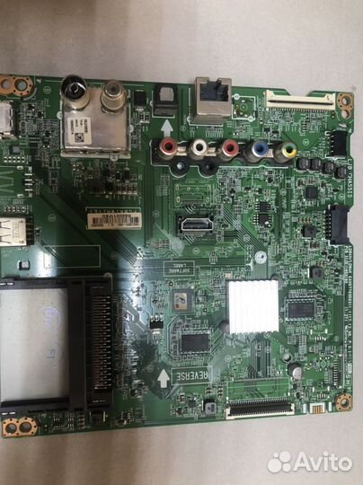 Main eax67703503(1.1)