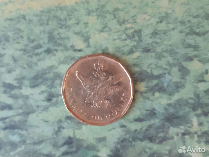 1 канадский доллар