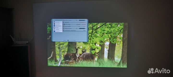 Проектор Projectiondesign F1+