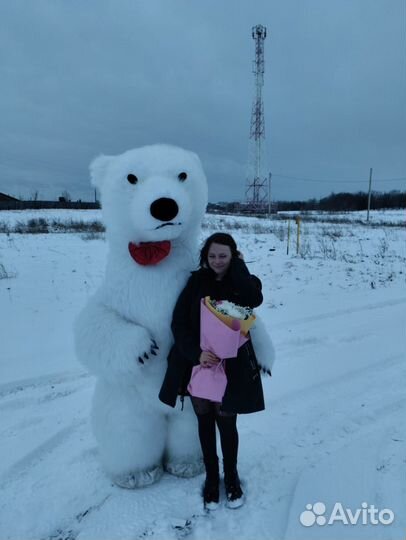 Белый мишка поздравление