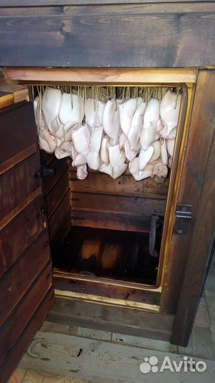 Кальмар гк, Камбала хк, Сельдь хк