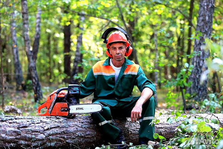 Мастер участка (участок валки и обрезки деревьев)