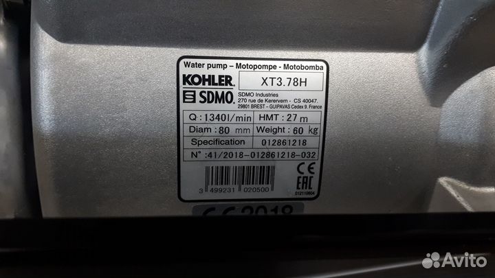 Мотопомпа 1100,л/м 1340 л/м грязевая аренда