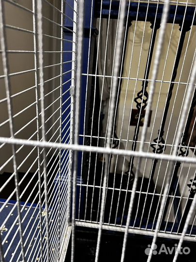 Большая клетка для грызунов