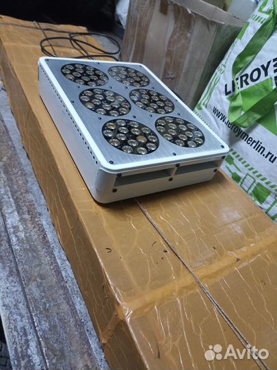 Фитолампа Apollo