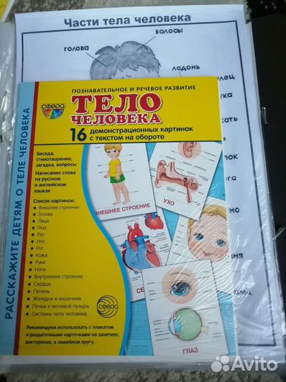 Демонстрационный материал для дс