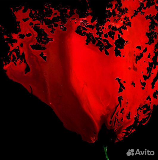 Картина Мак Абстракция (Акрил+Смола)