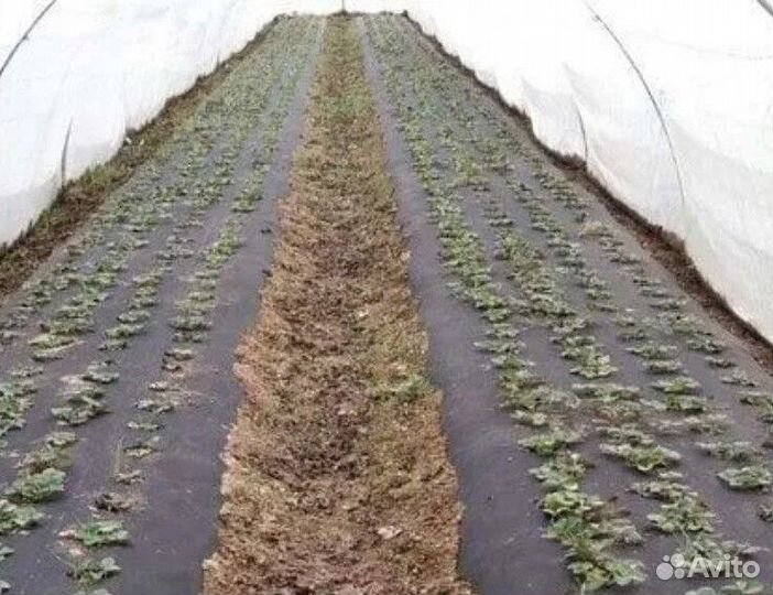 Спанбонд укрывной материал