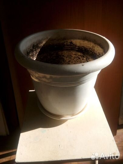 Горшок для цветов