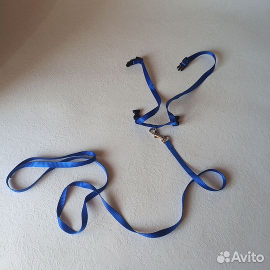 Шлейка с поводком для кошки поводок