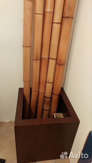 Бамбуковые стволы