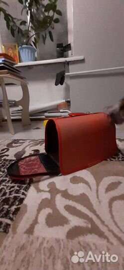 Сумка для животных