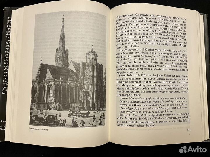 Mozart:Triumph und frühes Ende. Rosmarie Mann