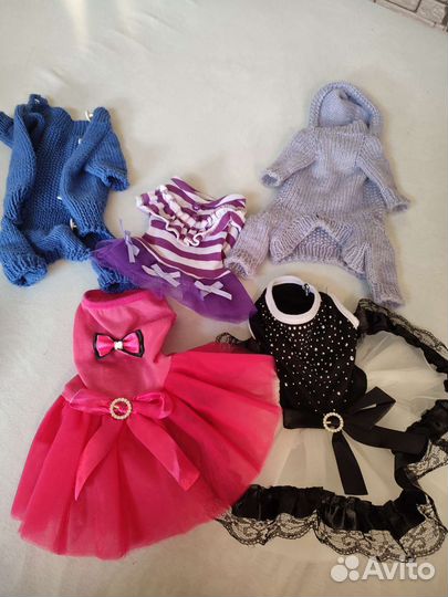 Одежда для маленьких собак xs