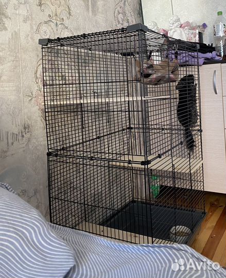 Коетка большая для грызунов