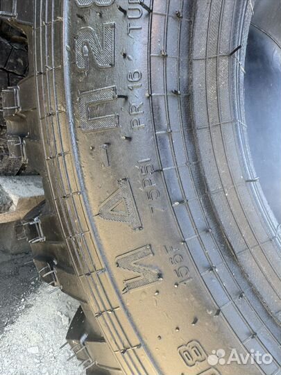 1200/500-508 Алтайшина ид-П284