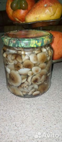 Маринованные маслята, соленые грузди